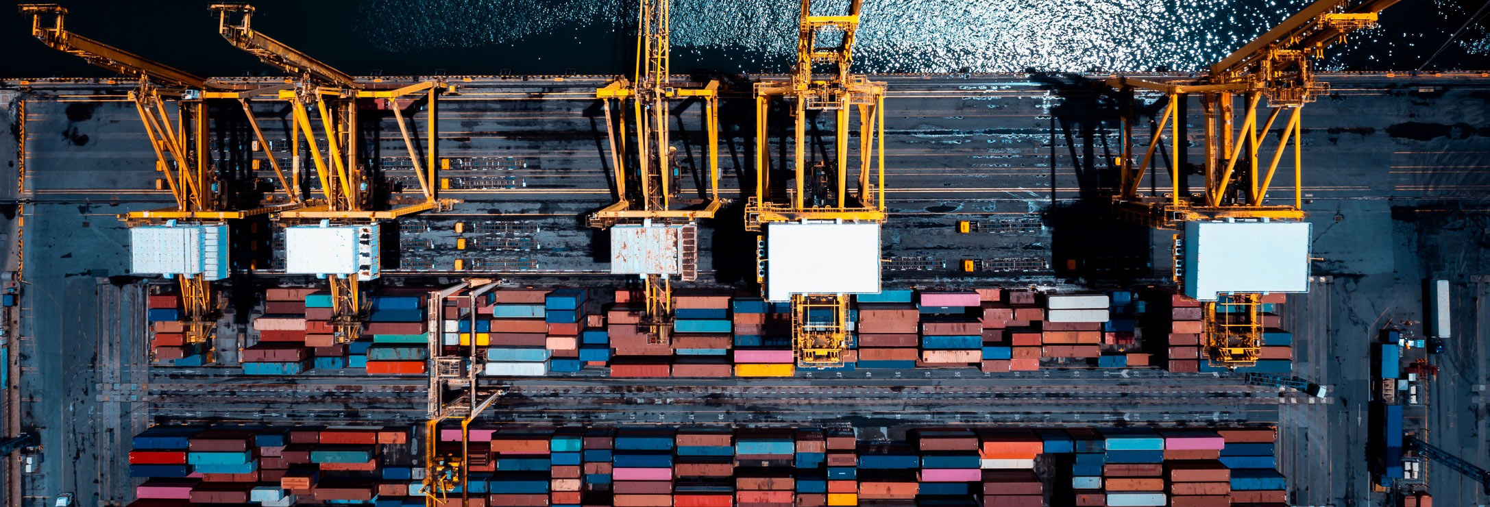 Genesis International Trading | Trade Logistic